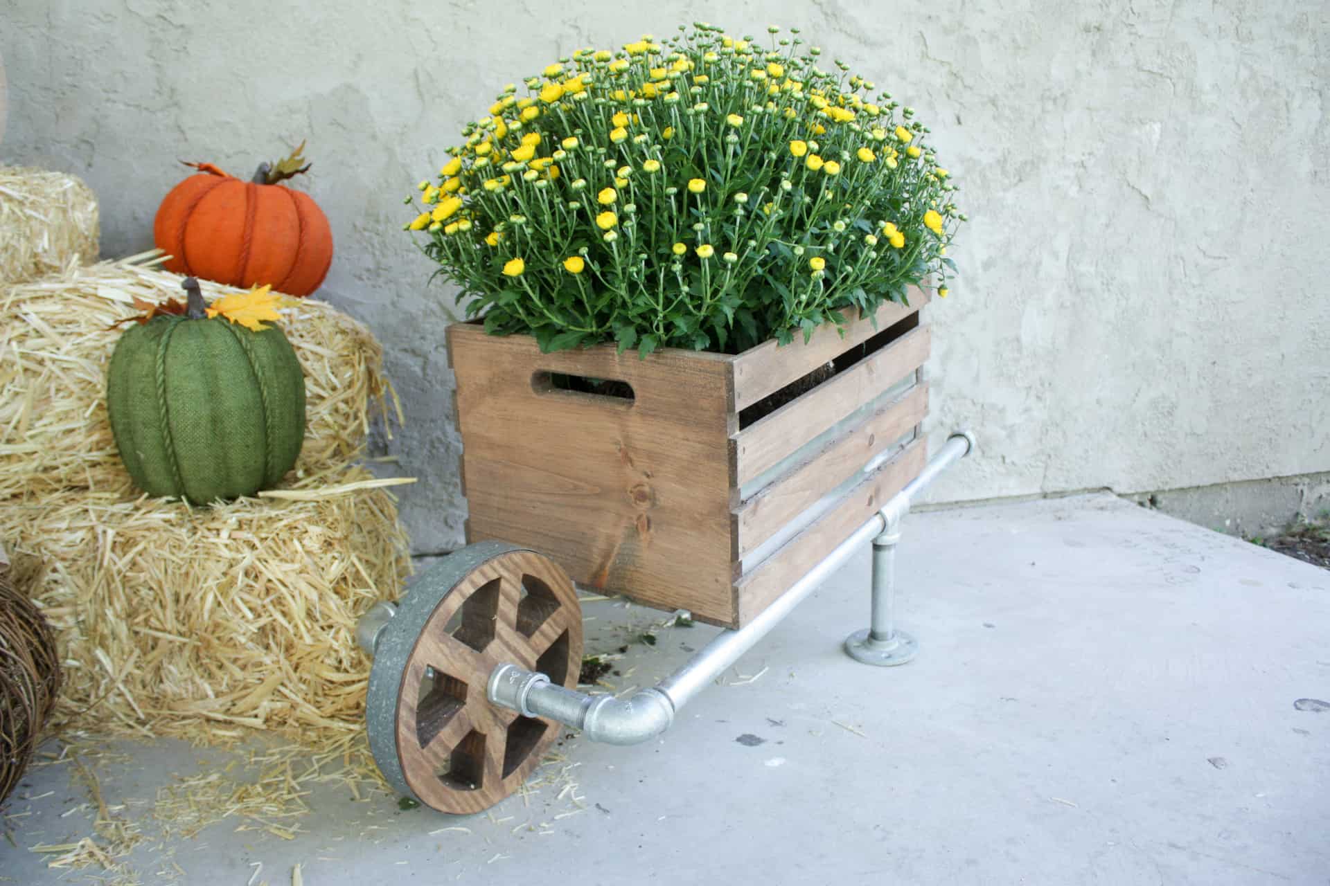 DIY Rustic Wheelbarrow - wheelbarrow filled with mums