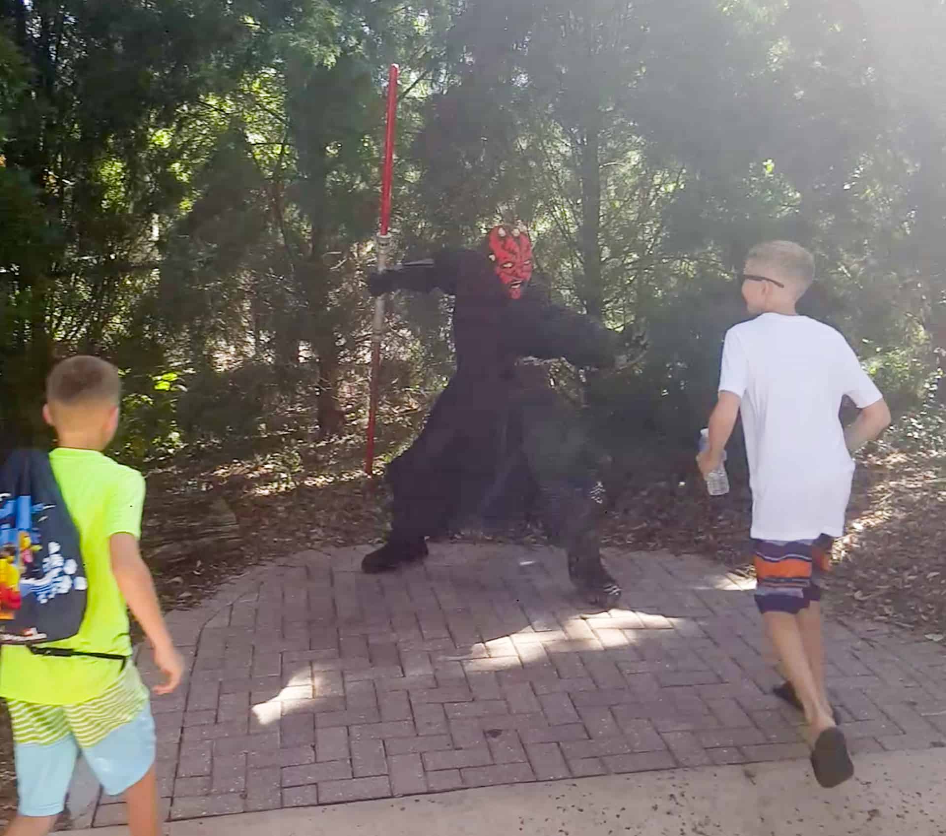 Legoland Florida Star Wars Darth Maul sculpture