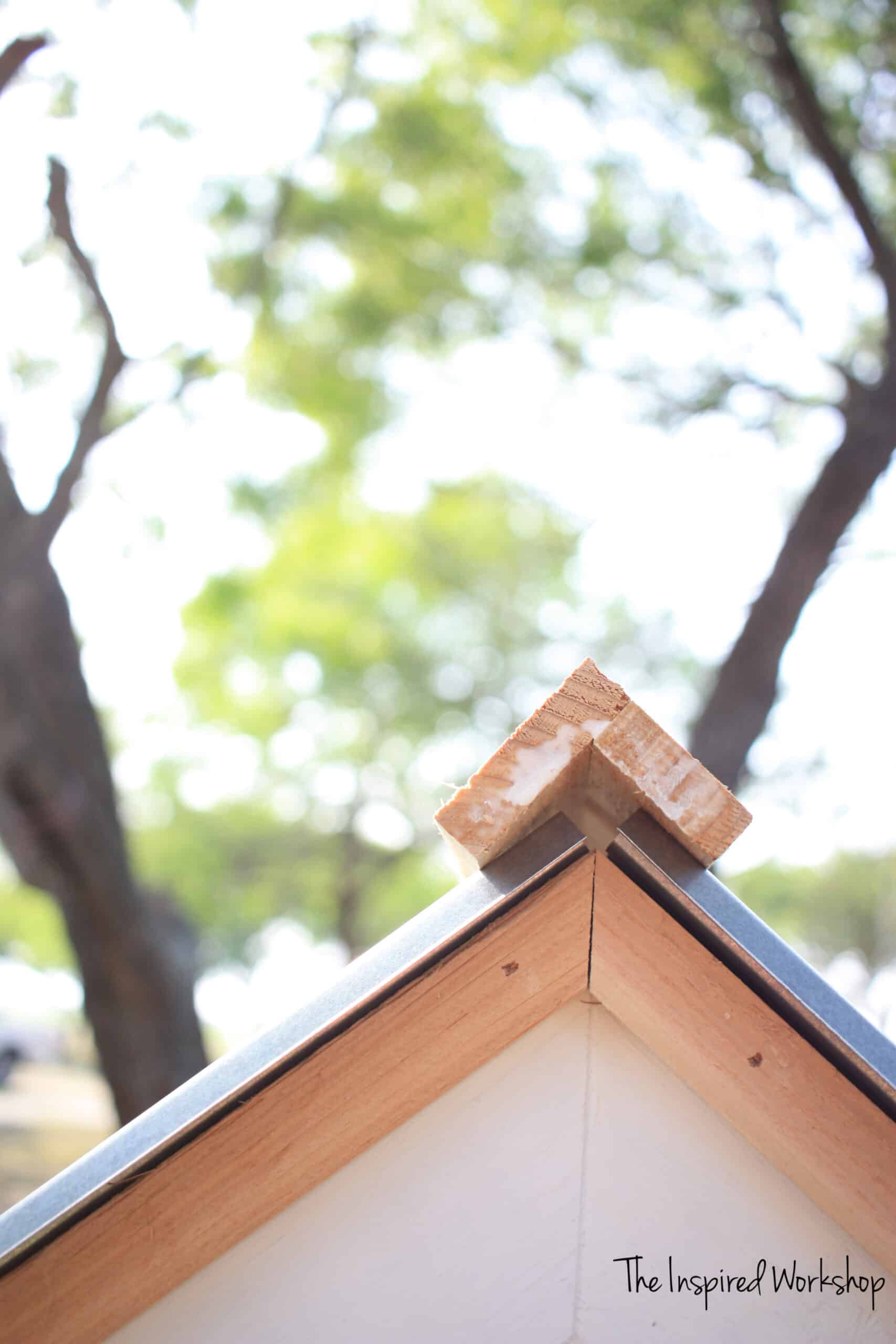 DIY Small Chicken Coop