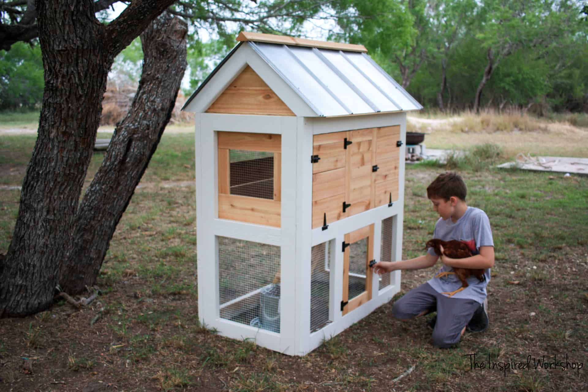 DIY Small Chicken Coop with boy putting rooster into bottom door