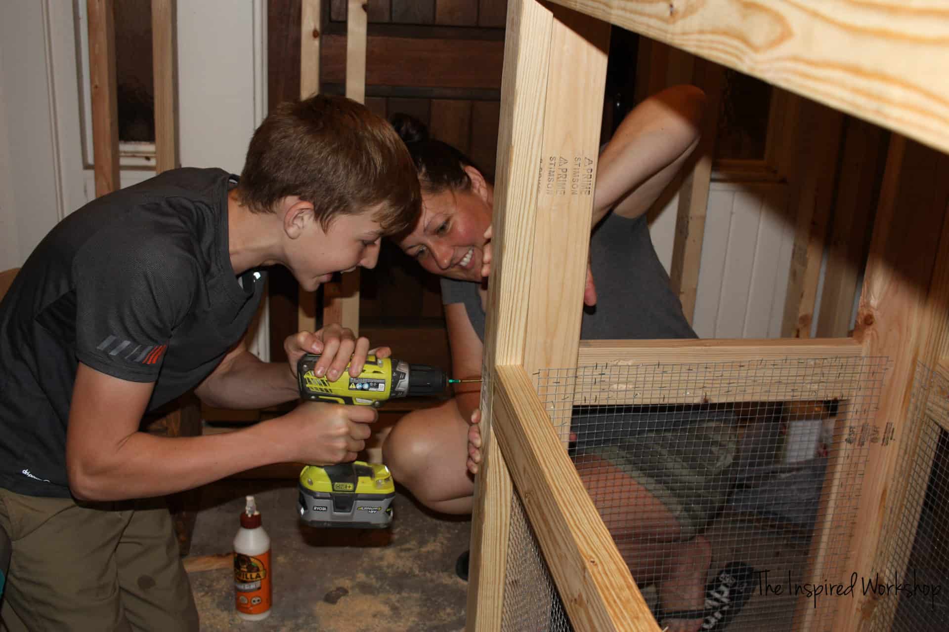 DIY Small Chicken Coop