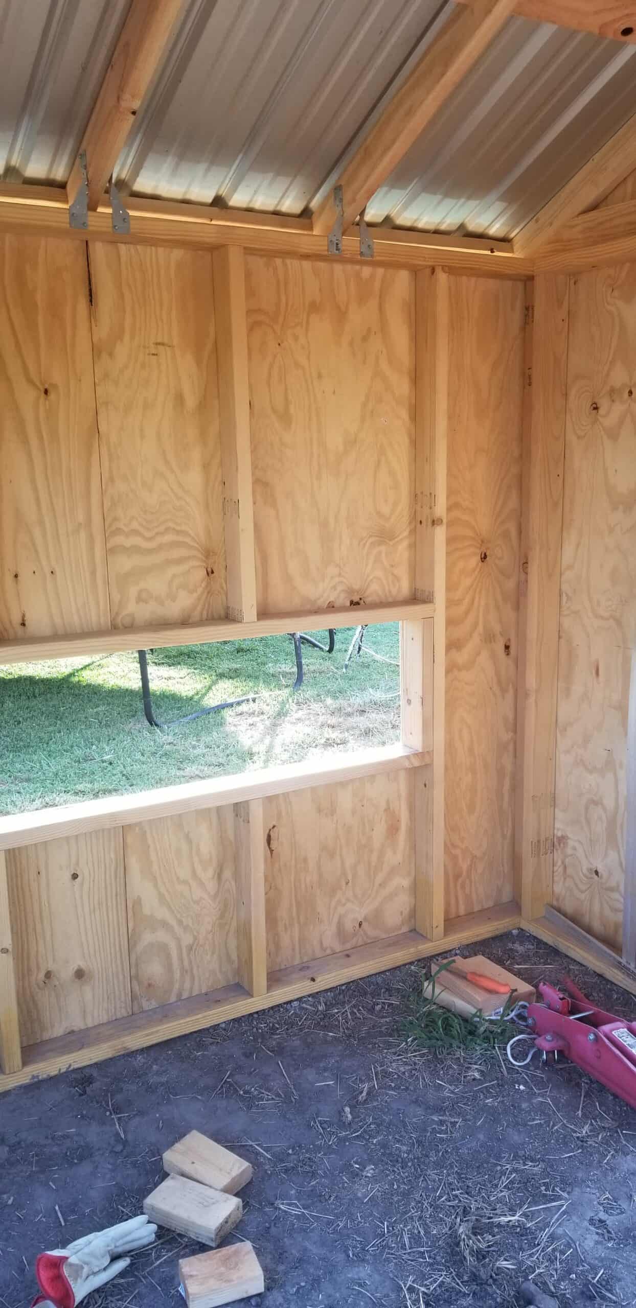 Inside the chicken coop looking at the roof and nesting box wall