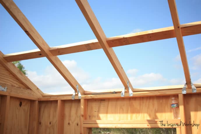 Goat shed roof rafters - actual picture of chicken coop rafters but they are built the same!