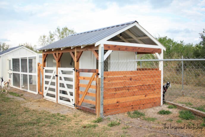 side view of the goat house on the milk stand side