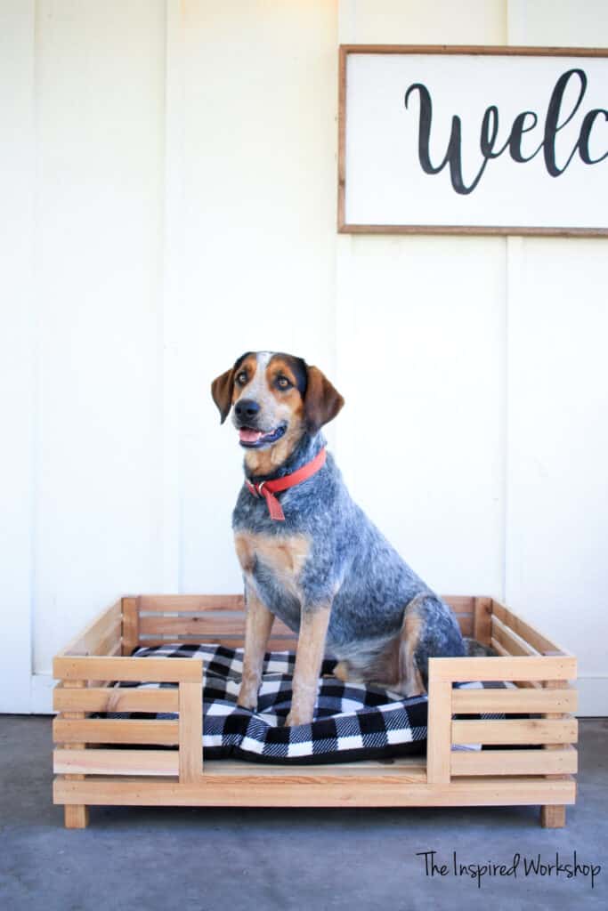 Dog Bed for large dogs made with slats for a modern design