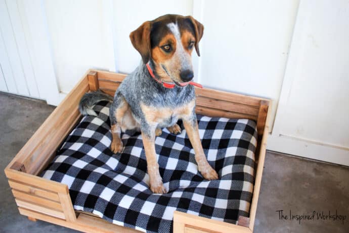 DIY Dog Bed with my dog Thor sitting in it!