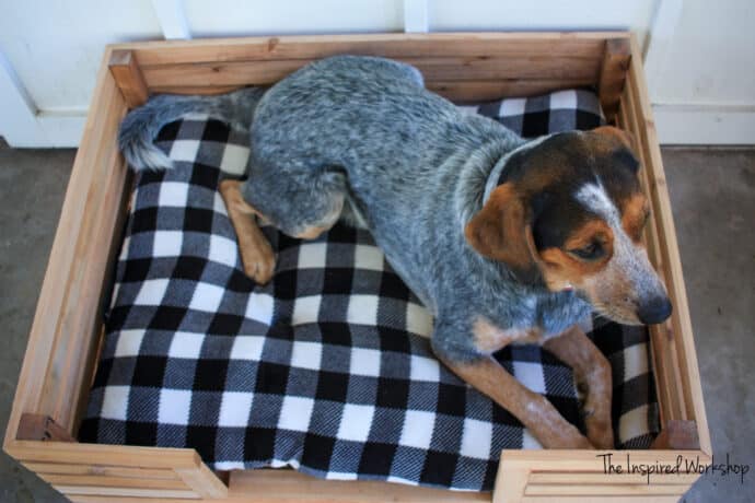 DIY Dog Bed with dog laying down in the bed