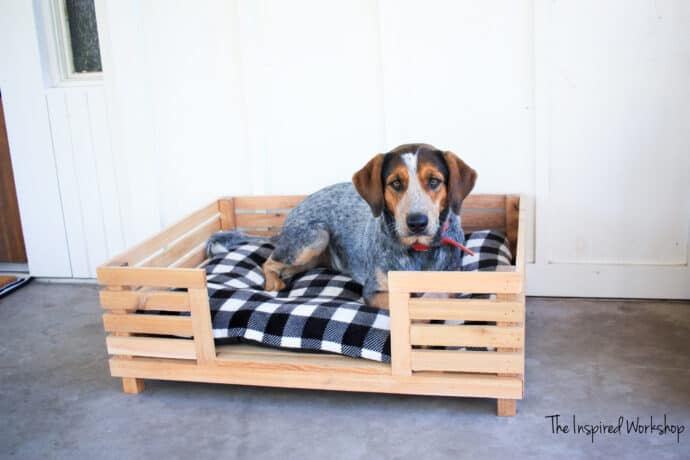 DIY Large Modern Dog Bed - black and white dog laying in the dog bed