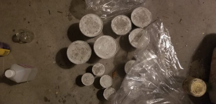 cups all filled with concrete ready to be turned into christmas trees