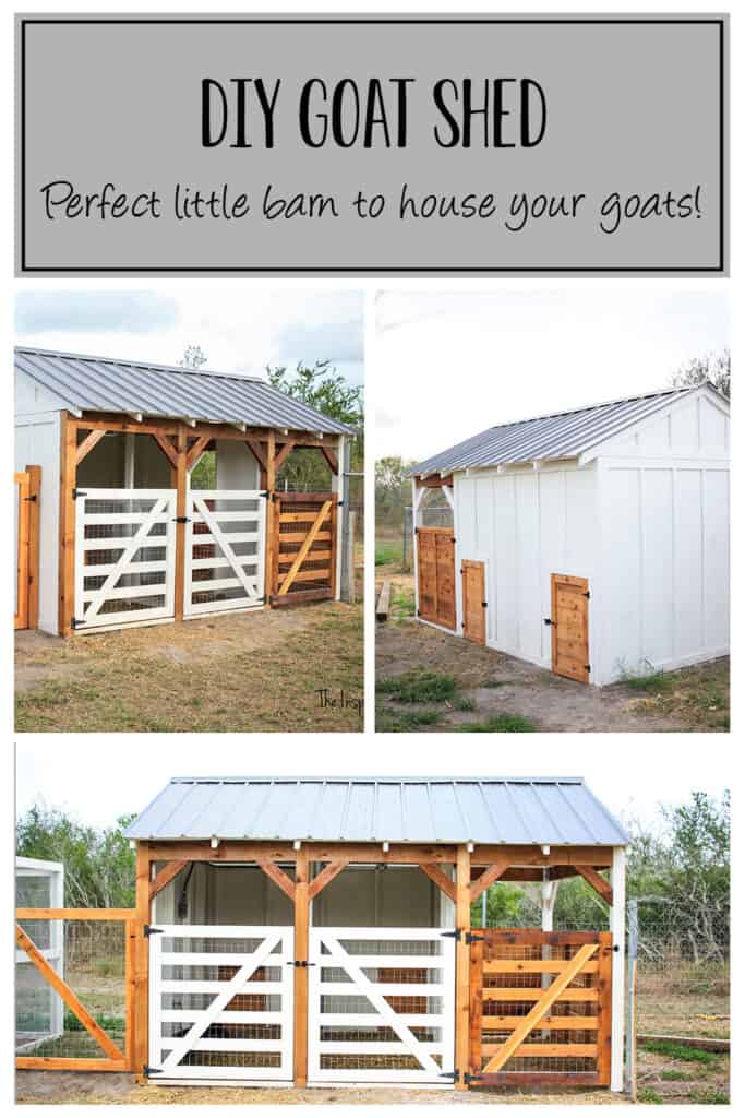 Collage photo of the goat house showing the front and a side angle view along with a back view of the goat barn with writing at the top DIY Goat Shed 