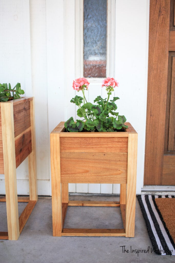 small planter box up close