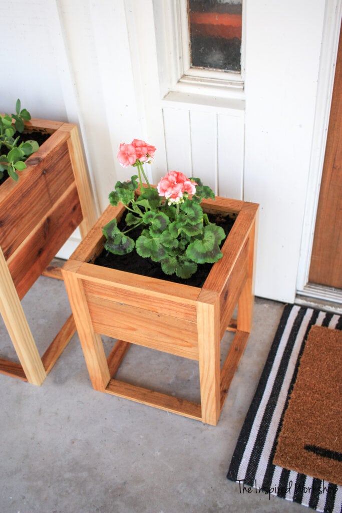 Small planter box top shot to see the flowers in the planter box