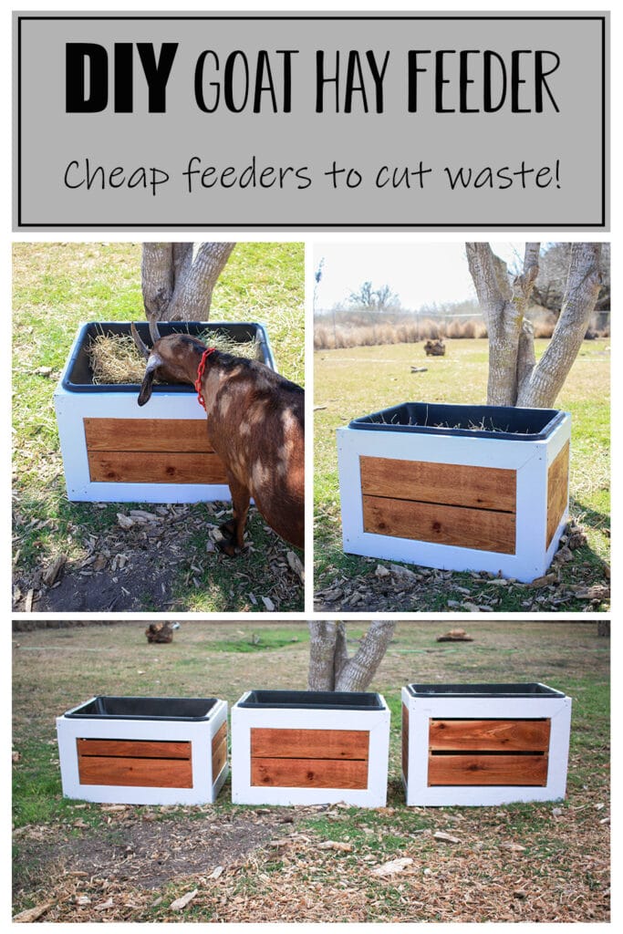 DIY Hay Feeder for Goats  - a collage of photos of the hay feeders with a borwn goat eating out of one!