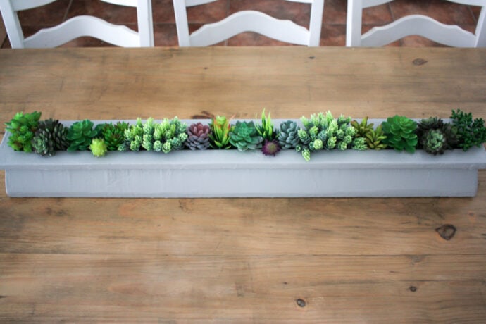 Succulents on store dining table