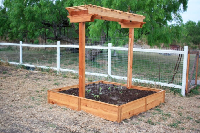 Cedar Garden Planter with trellis in the garden with white fence