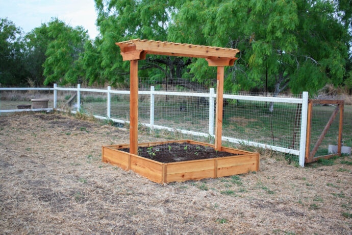 DIY Garden Planter with trellis in the garden with white fence behind it