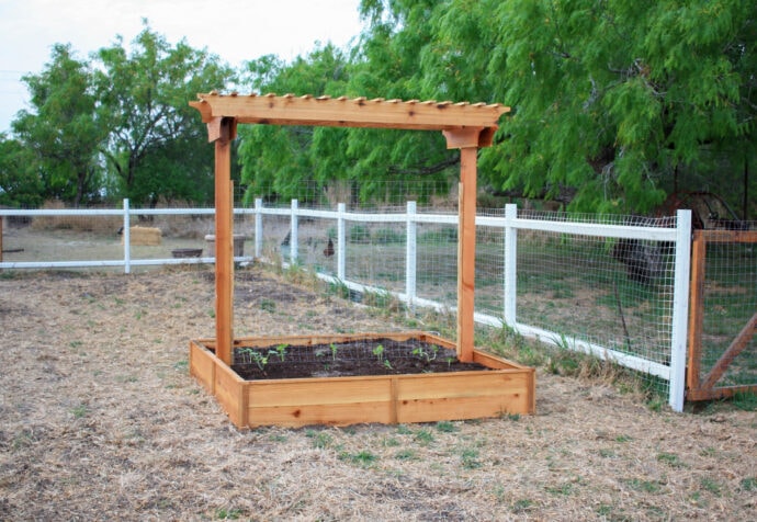 Raised Bed Planter with trellis in the garden with white fence to the right