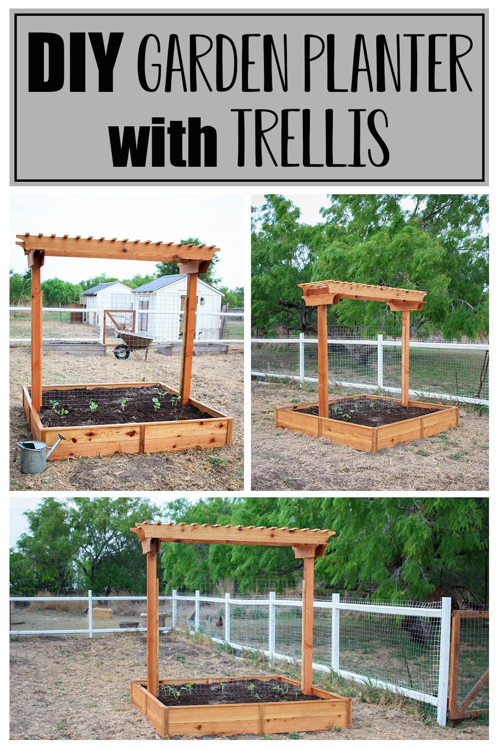 Collage of photos of the garden planter with trellis as a pinterest image