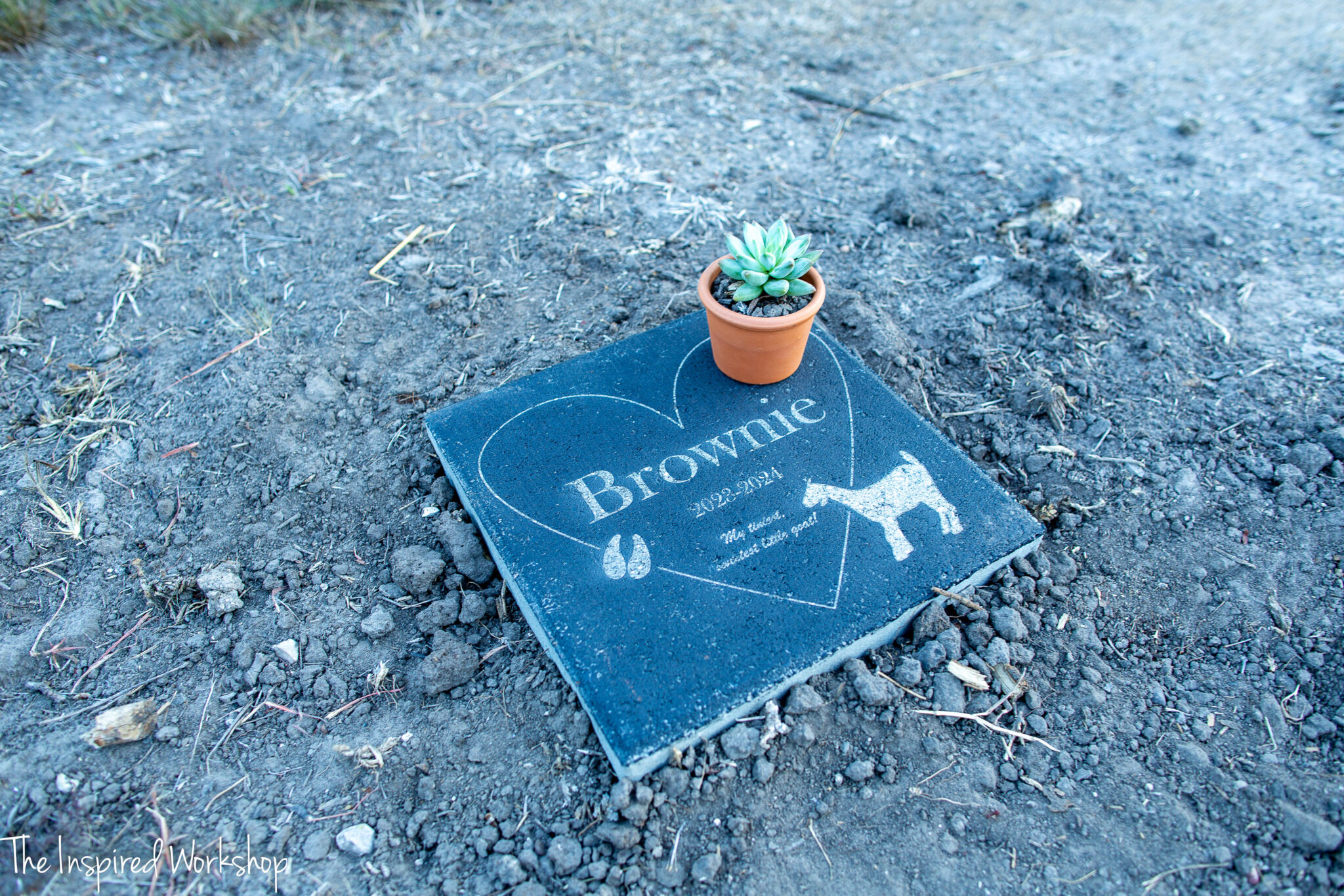 Pet Memorial Stone – The Inspired Workshop